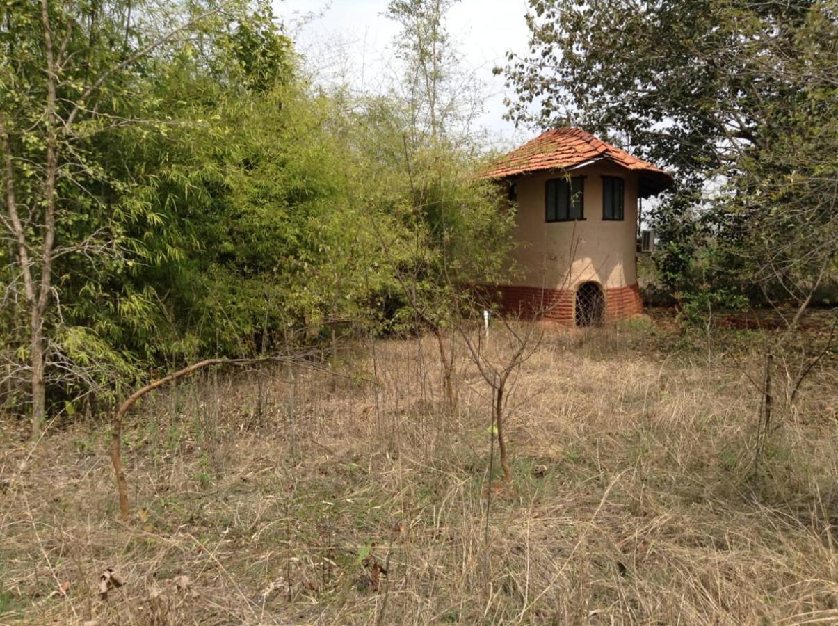 Monsoon Forest Tāla Екстериор снимка
